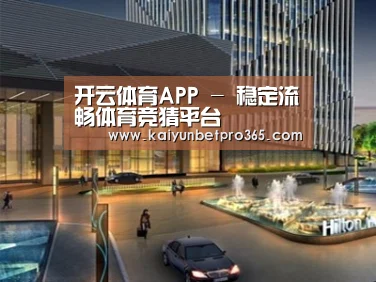 案例展示二