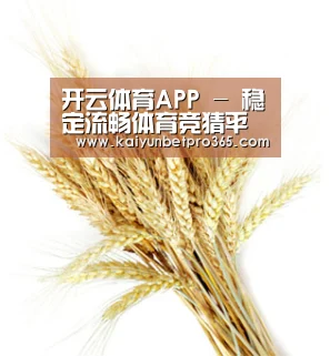 开云体育APP - 稳定流畅体育竞猜平台