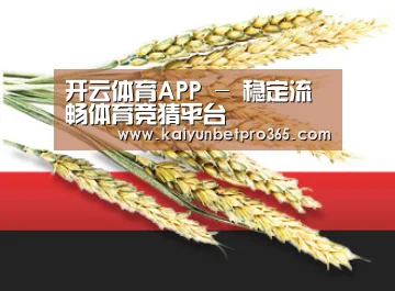 开云体育APP - 稳定流畅体育竞猜平台