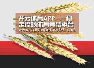 开云体育APP - 稳定流畅体育竞猜平台