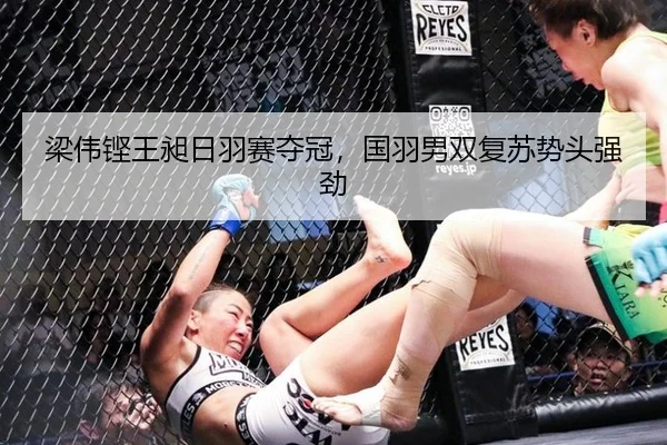梁伟铿王昶日羽赛夺冠，国羽男双复苏势头强劲
