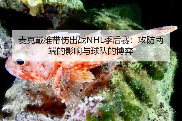 麦克戴维带伤出战NHL季后赛：攻防两端的影响与球队的博弈